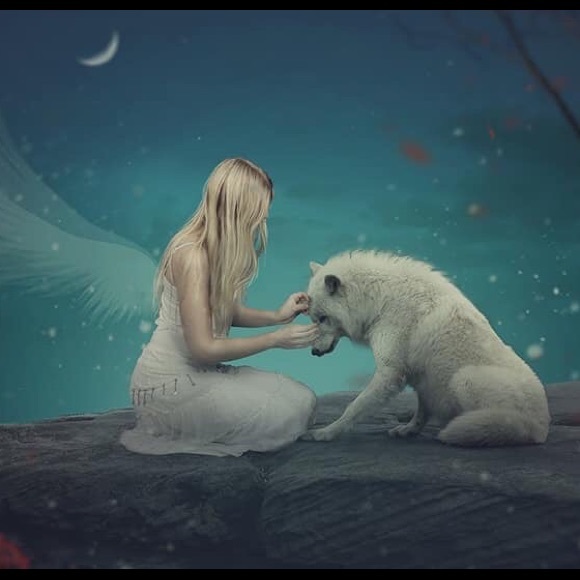 Meet your Posher, Samantha - Picture 1 of 1